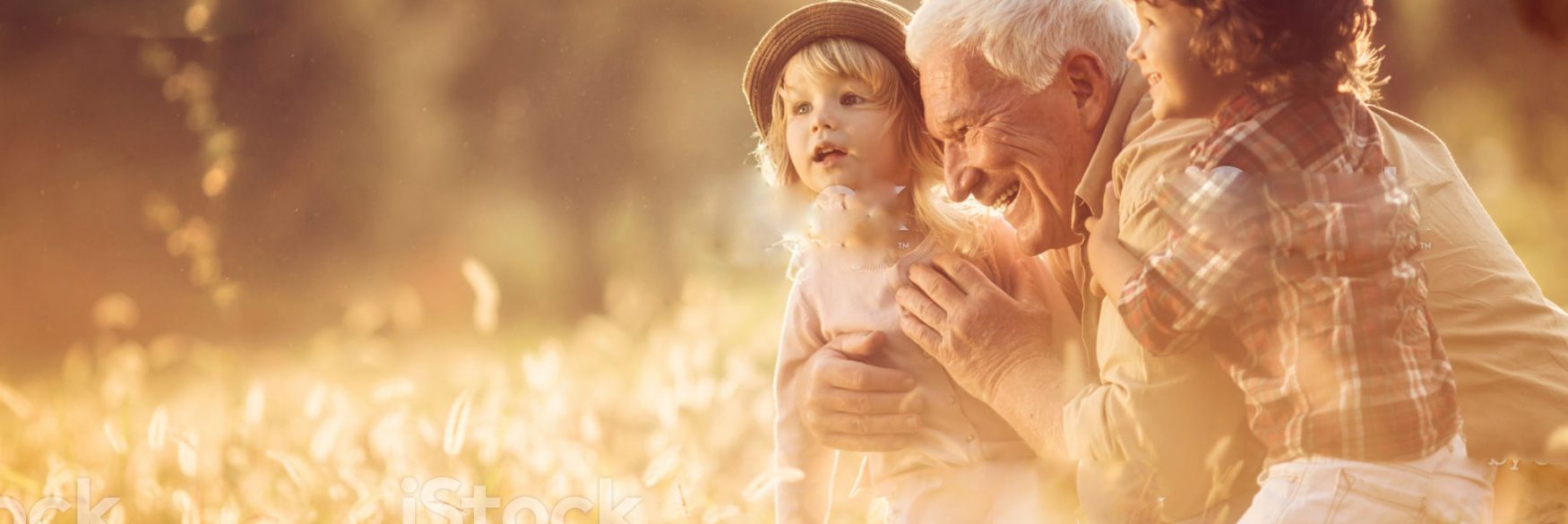 Fonds de solidarité